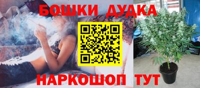 PSILOCYBIN Кимры