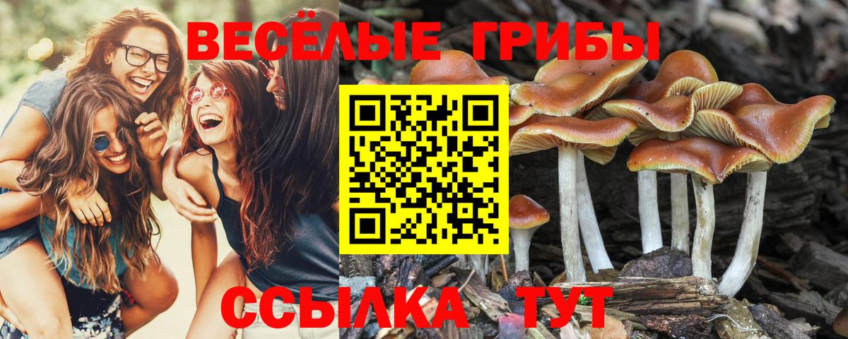 Псилоцибиновые грибы Magic Shrooms Усть-Джегута