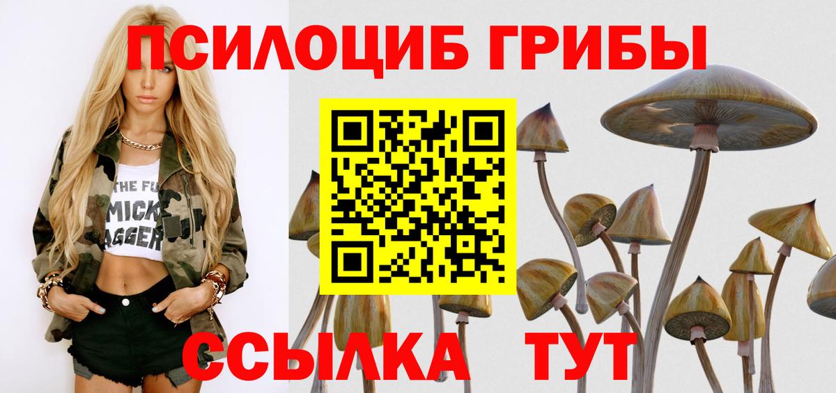 Усть-Джегута  закладки  Вход с VPN  Псилоцибиновые грибы Magic Shrooms 